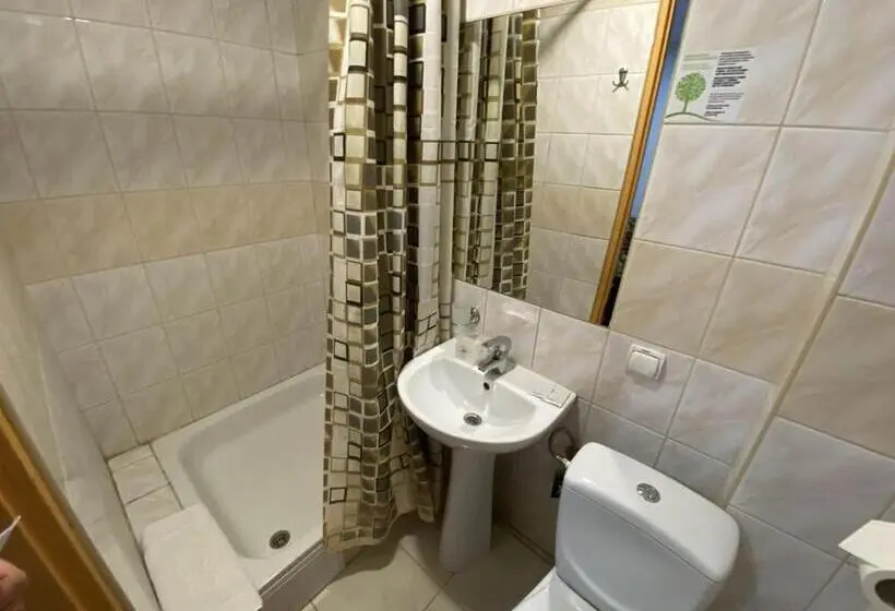 Standard-huone, Leoton Chernivtsi