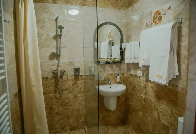 اتاق استاندارد, Sonyachniy Promin