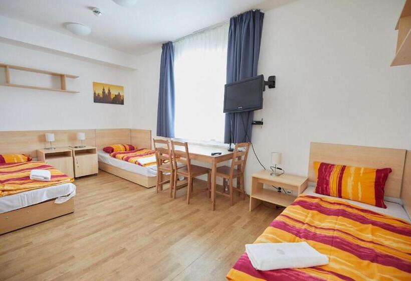 اتاق استاندارد سه نفره, University