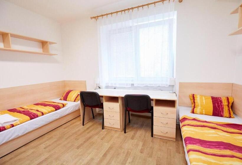 اتاق استاندارد با سرویس بهداشتی مشترک, University