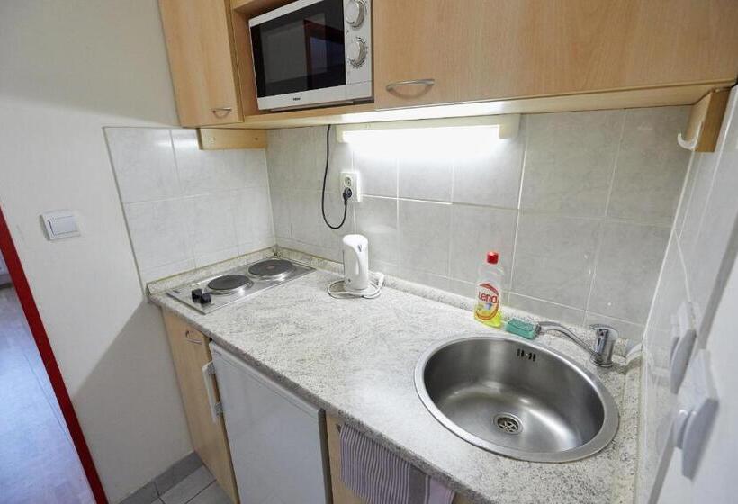 اتاق استاندارد با سرویس بهداشتی مشترک, University