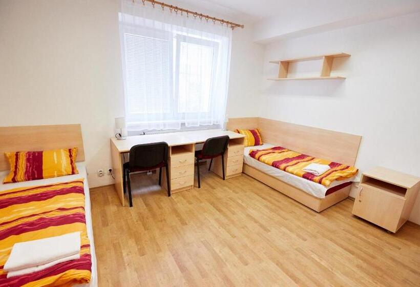 اتاق استاندارد با سرویس بهداشتی مشترک, University