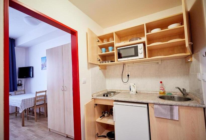 اتاق استاندارد با آشپزخانه, University