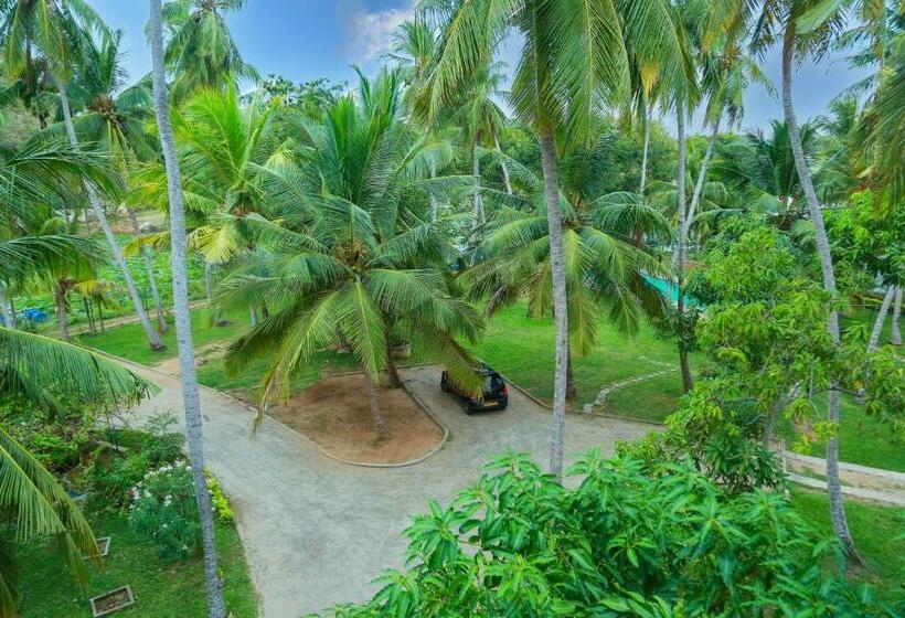 Suite Vista Lago, Lake Edge Holiday Inn