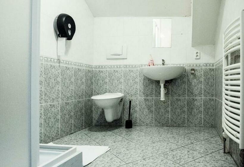 اتاق استاندارد با سرویس بهداشتی مشترک, Hostel Eleven