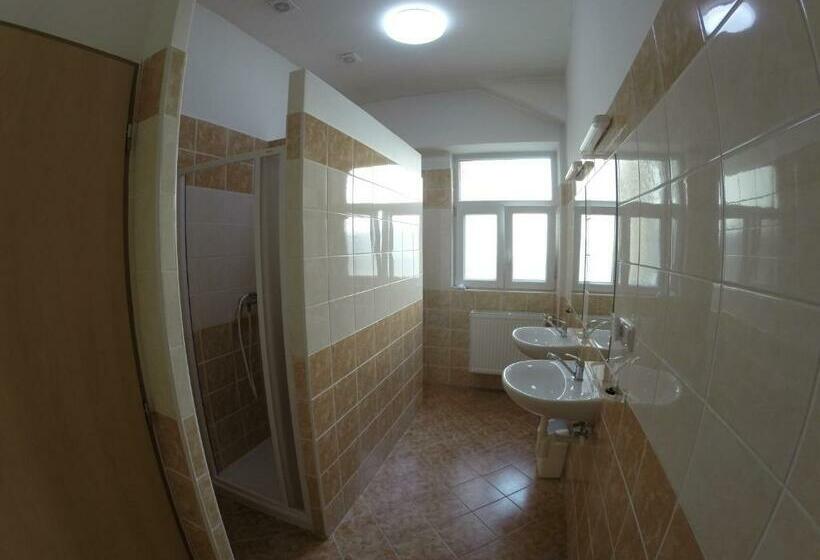 اتاق استاندارد با سرویس بهداشتی مشترک, Grand Tabor