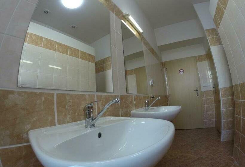 اتاق استاندارد با سرویس بهداشتی مشترک, Grand Tabor