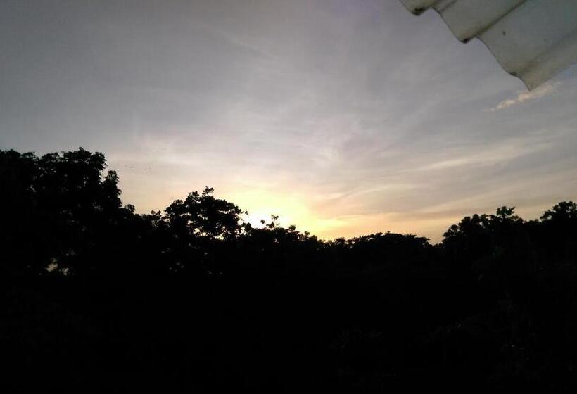 带海景的标准房, Green Hill Cottage