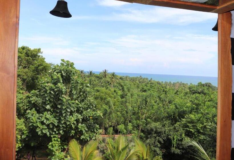 带海景的标准房, Green Hill Cottage