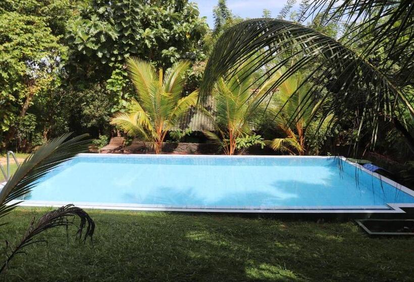 带海景的标准房, Green Hill Cottage