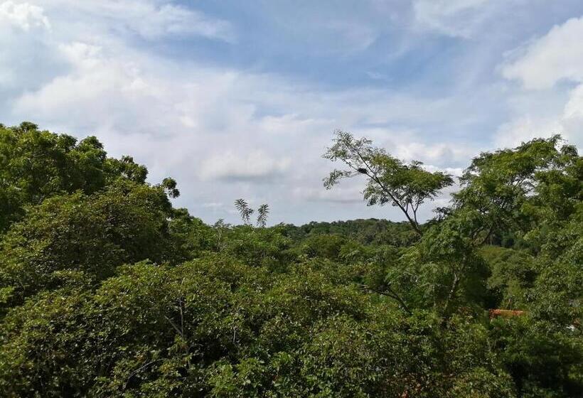 豪华洋房, Green Hill Cottage