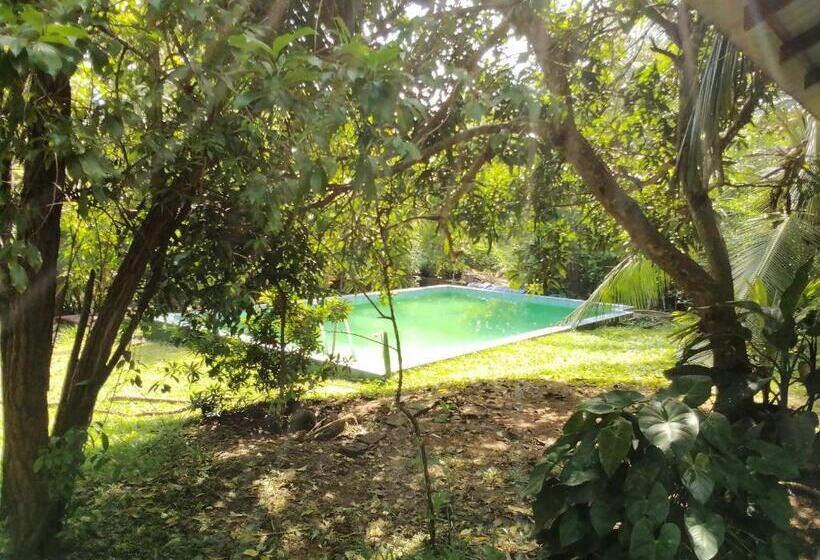 豪华洋房, Green Hill Cottage