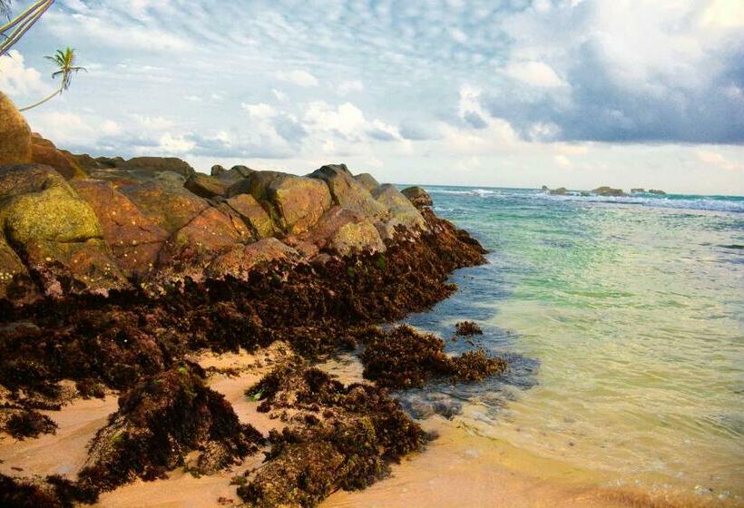 Номер Deluxe, Shanthi Beach Resort