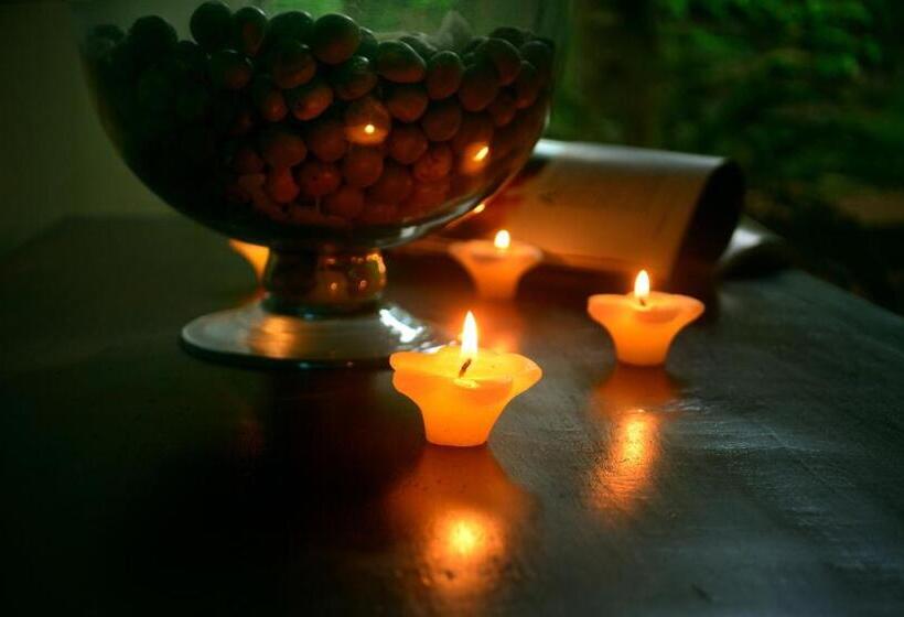 带阳台套房, Tropical Retreat