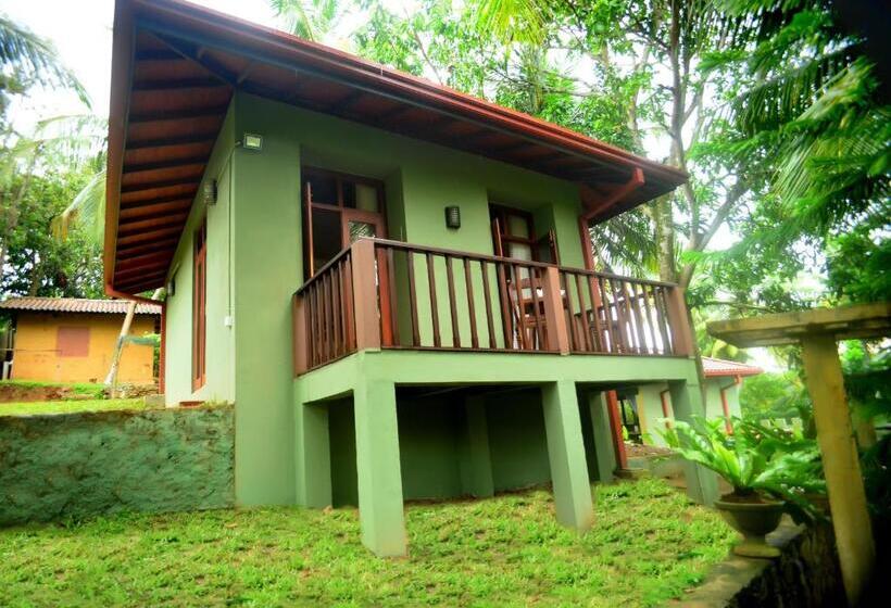 带大床的豪华间, Tropical Retreat