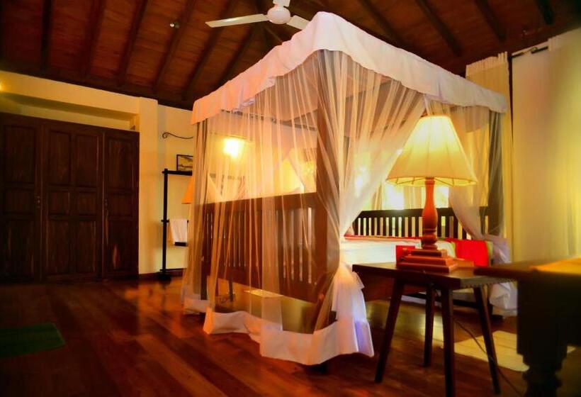 带大床的豪华间, Tropical Retreat