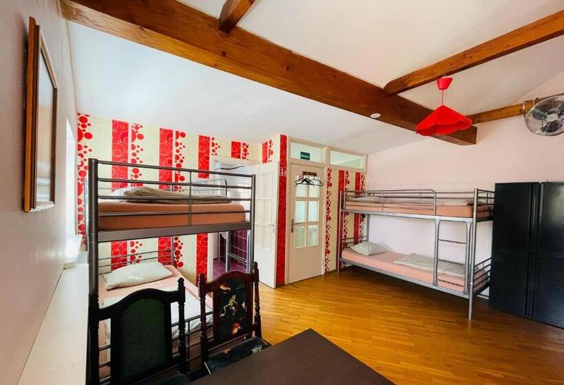 חדר סטנדרט, Mikalo House