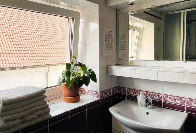 מיטה בחדר משותף, Mikalo House