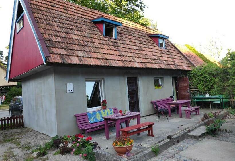 اتاق استاندارد, Skruzdėlynas