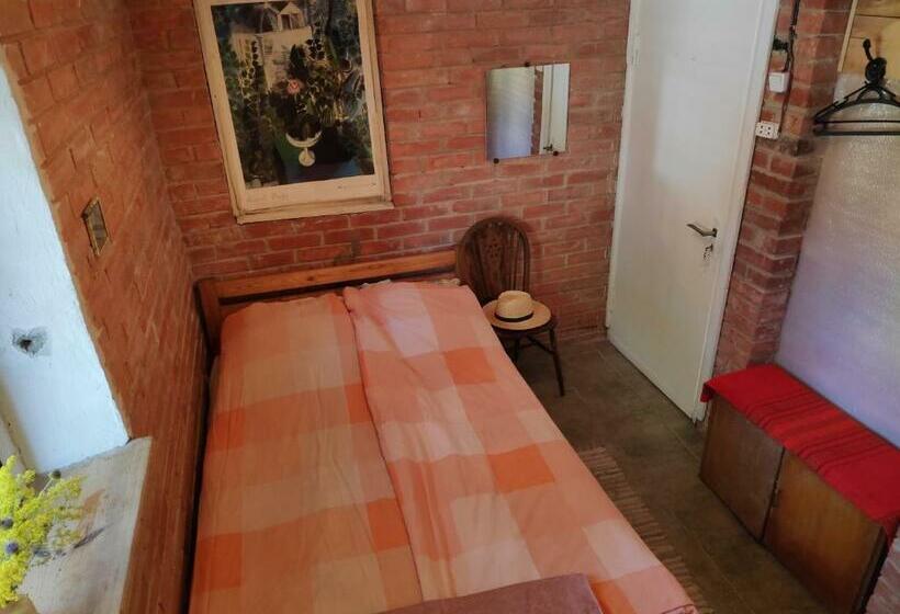 اتاق استاندارد, Skruzdėlynas