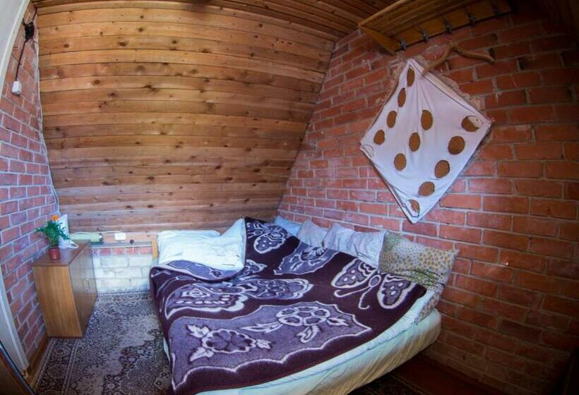 اتاق استاندارد, Skruzdėlynas