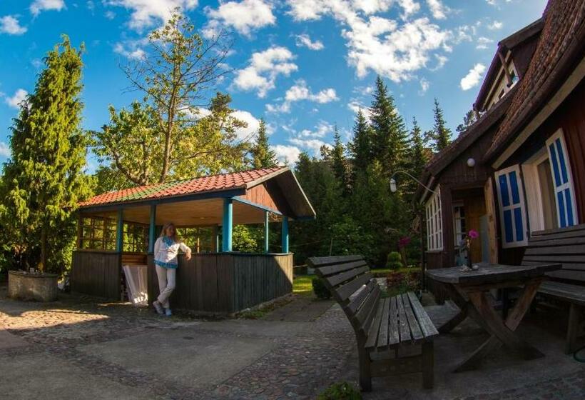 اتاق استاندارد, Skruzdėlynas