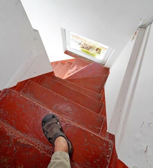 اتاق استاندارد چهار تخته, Skruzdėlynas