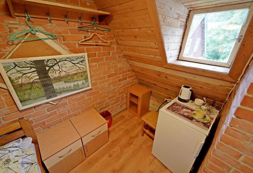 اتاق استاندارد, Skruzdėlynas