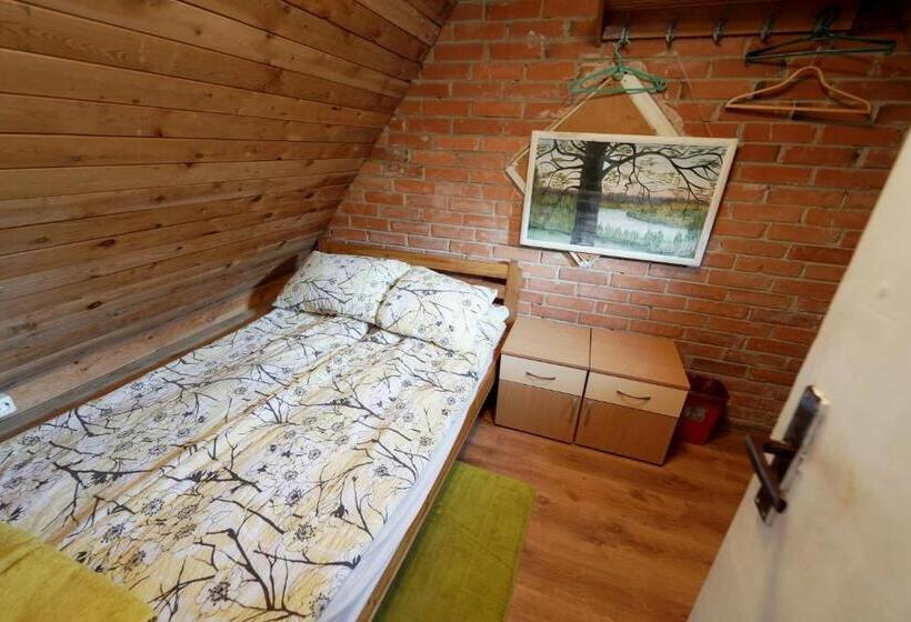 اتاق استاندارد, Skruzdėlynas