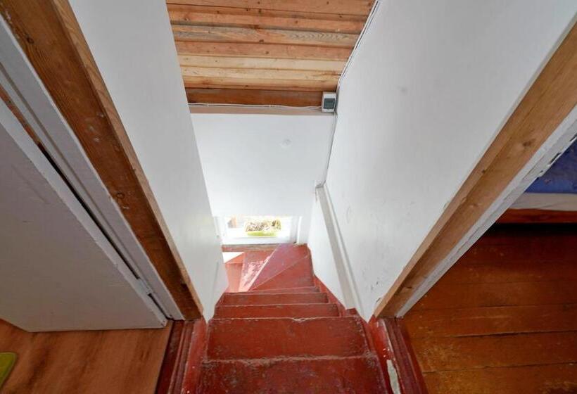 اتاق استاندارد, Skruzdėlynas