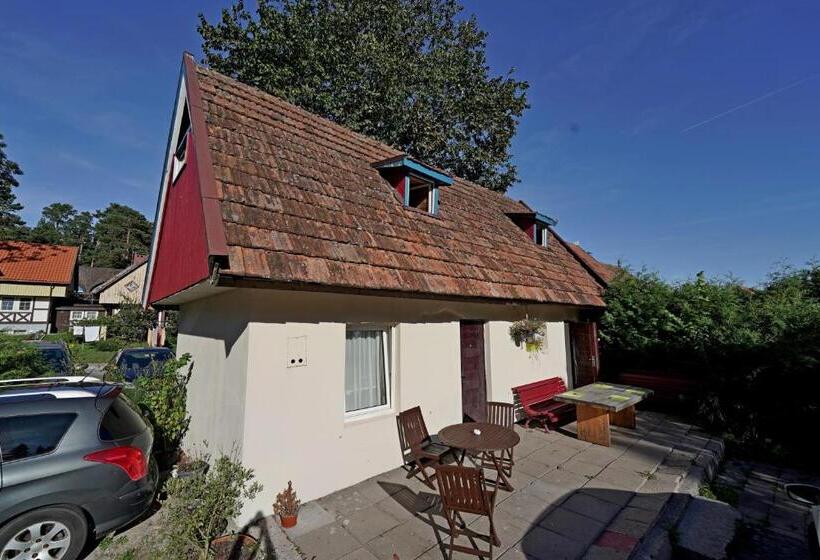 اتاق استاندارد, Skruzdėlynas