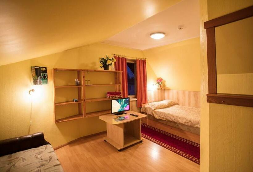 اتاق استاندارد یک نفره, Endla Hotell