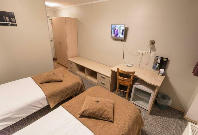 اتاق استاندارد با بالکن, Endla Hotell