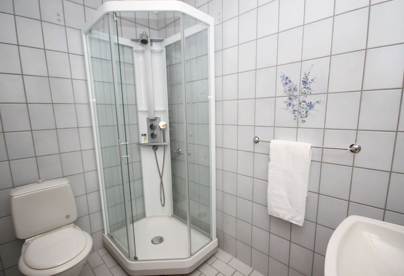 غرفة قياسية, L Fritidsparken