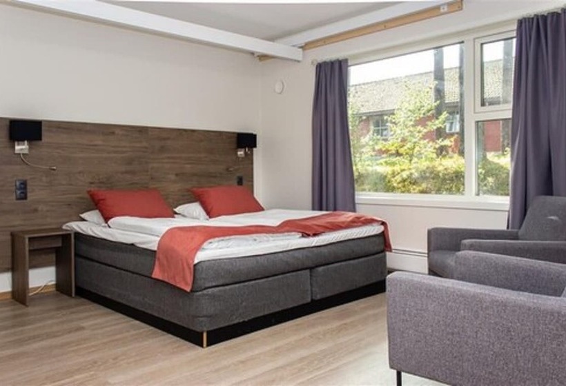 غرفة ديلوكس فردية, L Fritidsparken