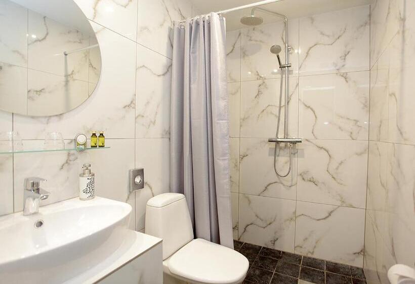 اتاق استاندارد, L Wesenbergh