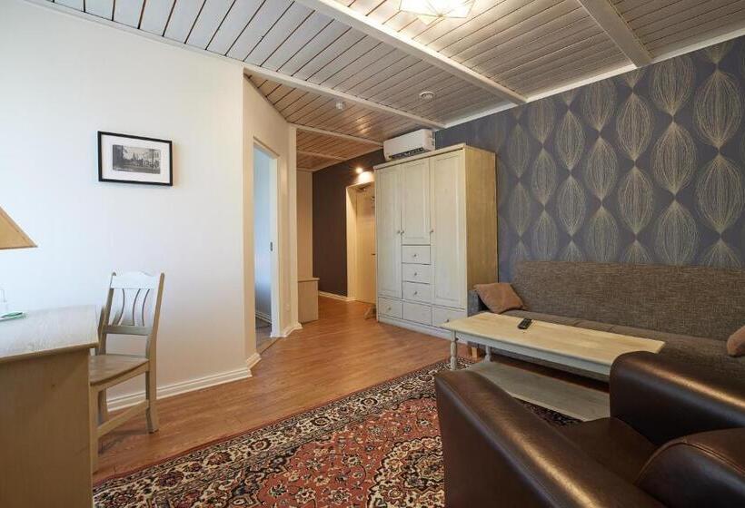 اتاق استاندارد, L Wesenbergh