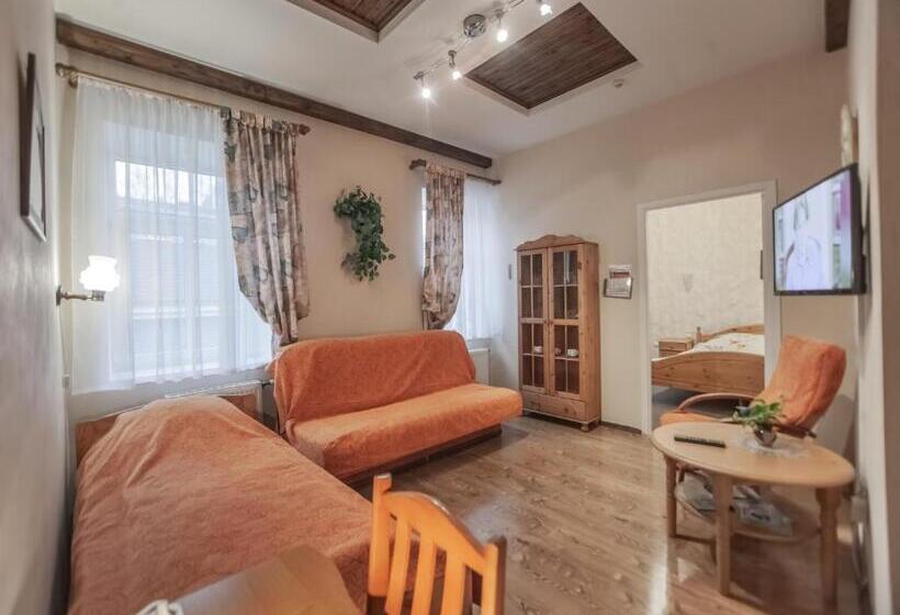 اتاق لوکس چهار تخته, Leo