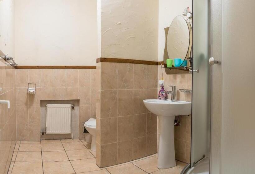 اتاق استاندارد, Leo