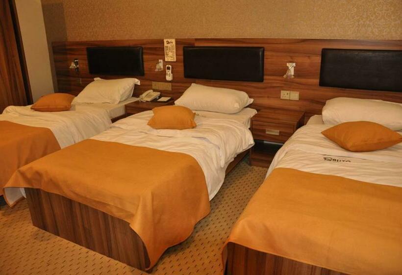 اتاق استاندارد سه نفره, Malito