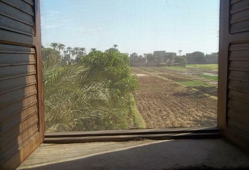 اتاق استاندارد, Nour El Balad