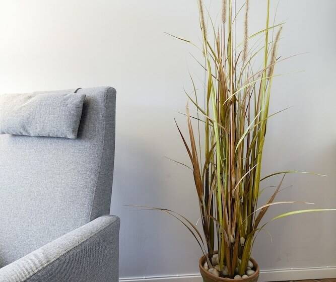 スーペリアールーム, Slottsgården