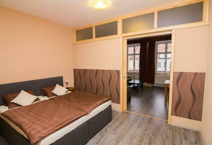 דירת חדר, Sokolský Dům