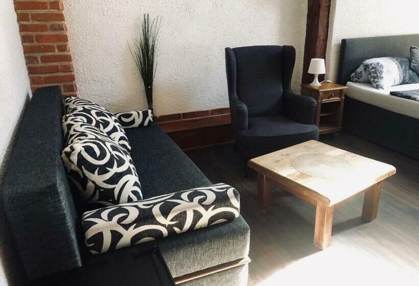 חדר סטנדרט, Sokolský Dům