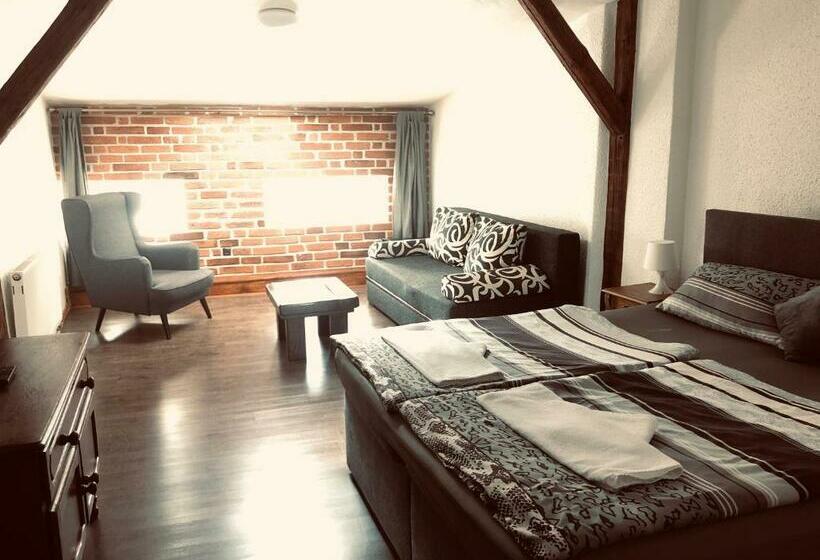 חדר סטנדרט, Sokolský Dům