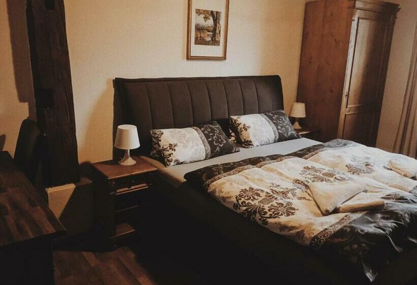 חדר סטנדרט, Sokolský Dům