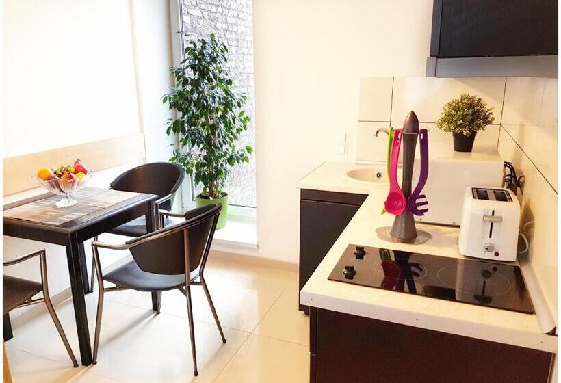 آپارتمان 1 خوابه با تراس, Vivulskis Apart