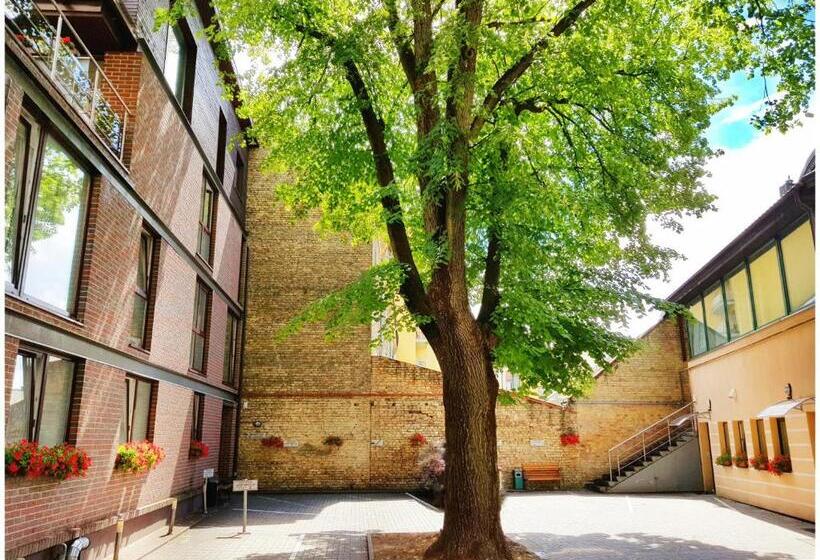 آپارتمان لوکس 1 خوابه, Vivulskis Apart