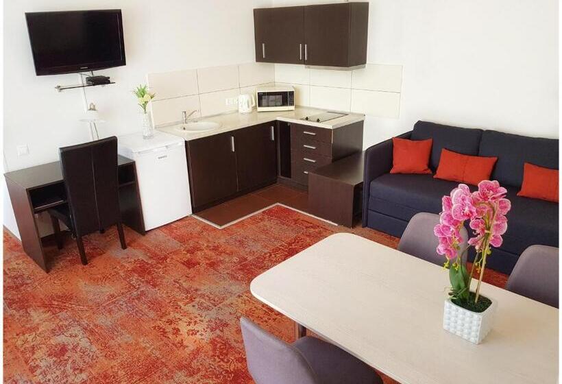 آپارتمان لوکس 1 خوابه, Vivulskis Apart