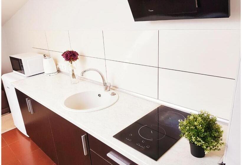 آپارتمان لوکس 2 خوابه, Vivulskis Apart